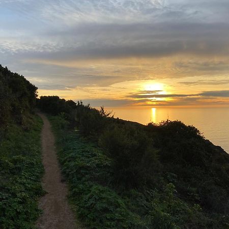 Villa Montalbo Vue Mer De 2 A 10 Personnes Cargèse Εξωτερικό φωτογραφία