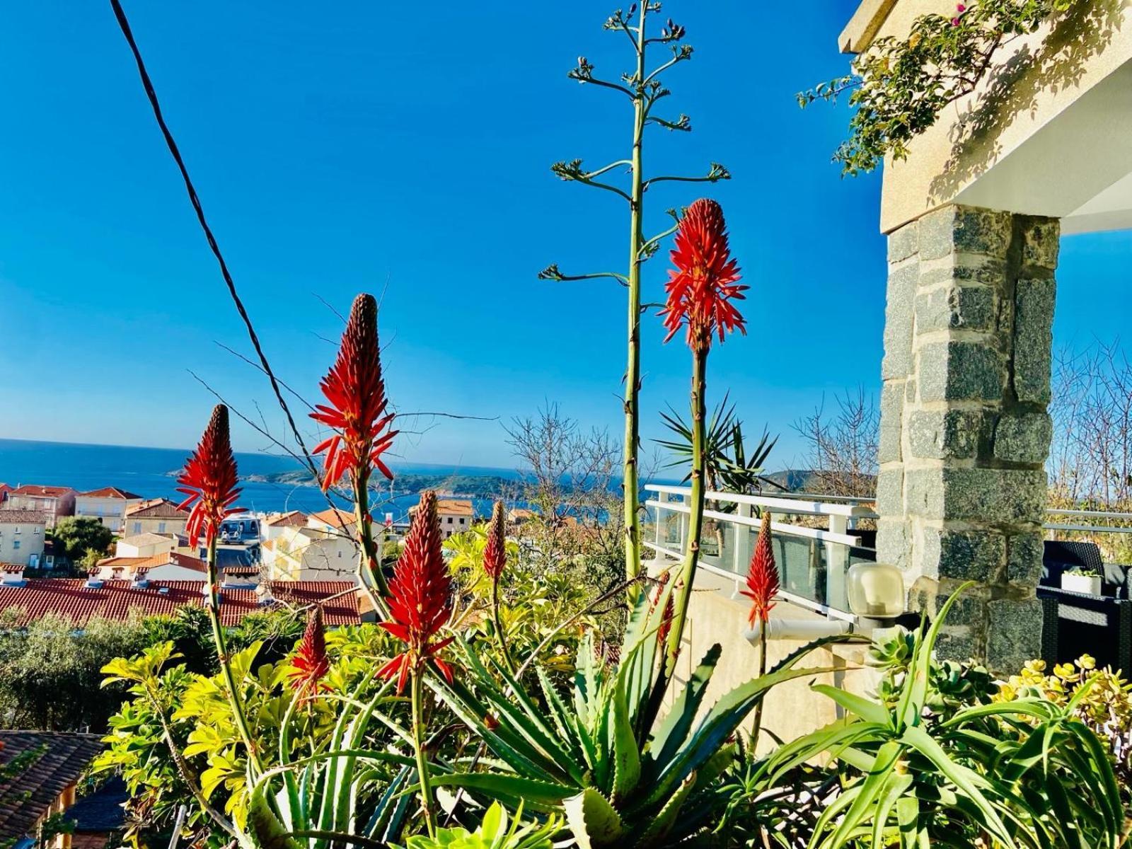 Villa Montalbo Vue Mer De 2 A 10 Personnes Cargèse Εξωτερικό φωτογραφία